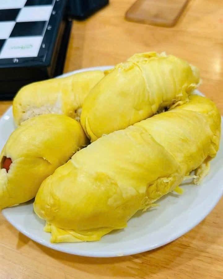 Sầu Thái Dona