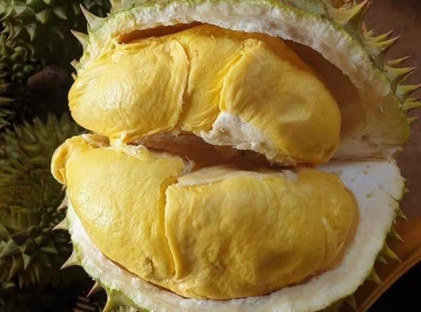 Sầu riêng
